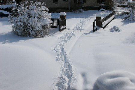 home under snow