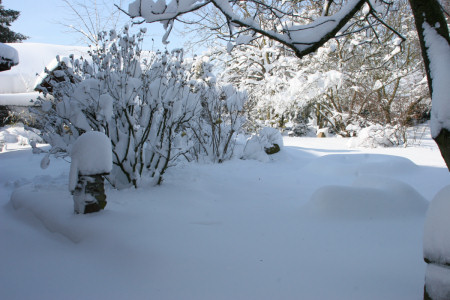 home under snow